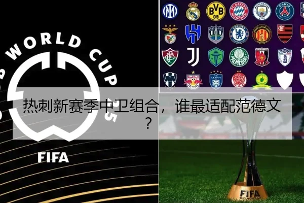 热刺新赛季中卫组合，谁最适配范德文？